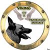 Logo of the association Viking SV2L Protection Animale